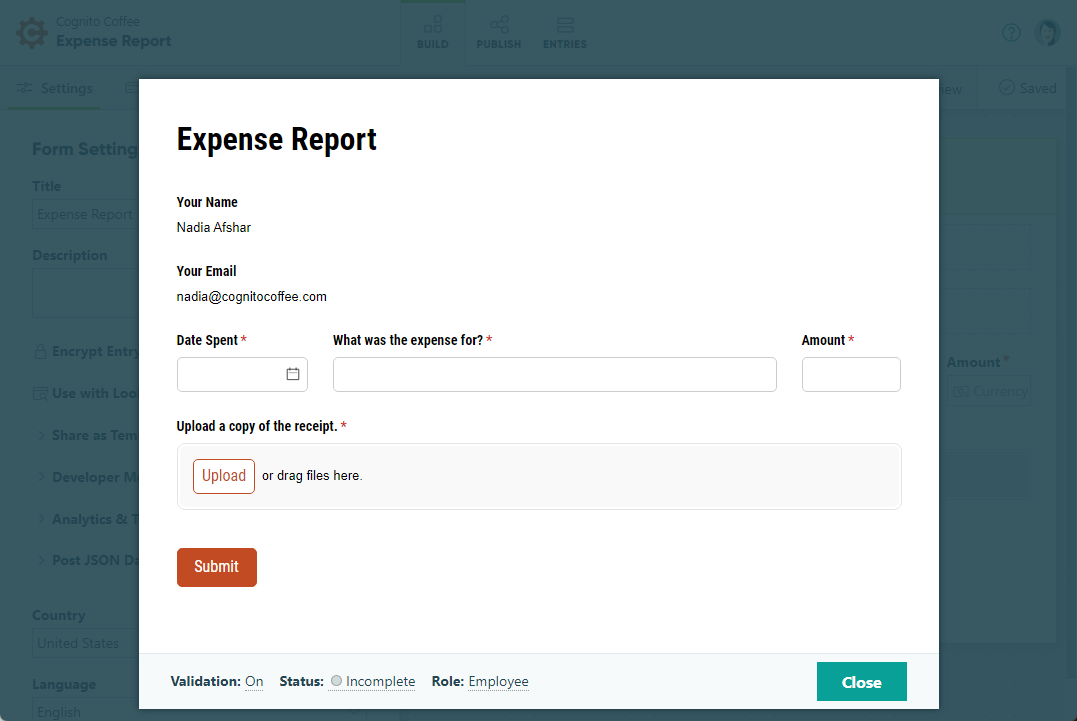 How the form appears to users outside your organization