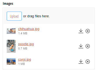 Image uploads with thumbnail image previews.