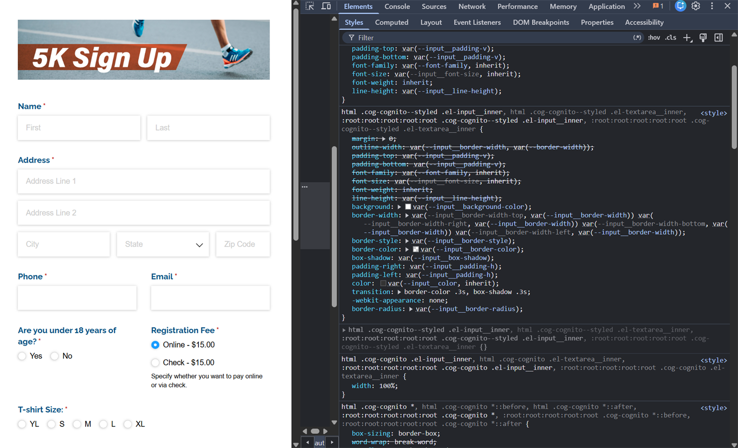 How to style a form using advanced CSS.