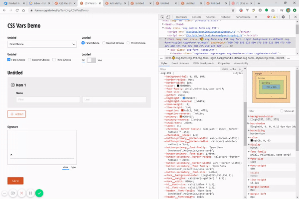 How to style a form using advanced CSS.