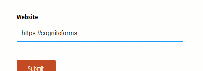 Validated fields
