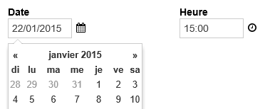 Date field with the date picker in French and the date formatted in European style