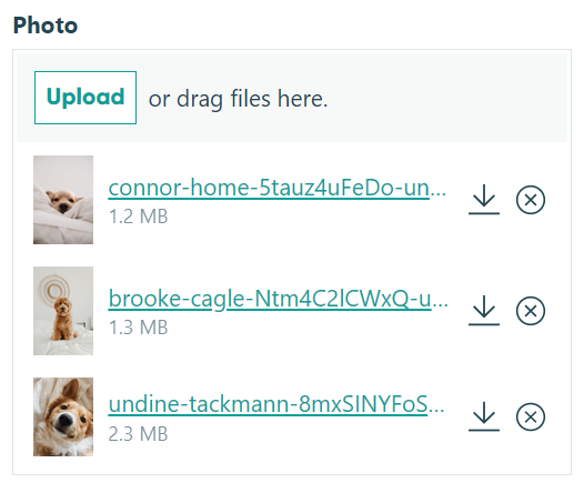 Downloading files one at a time.