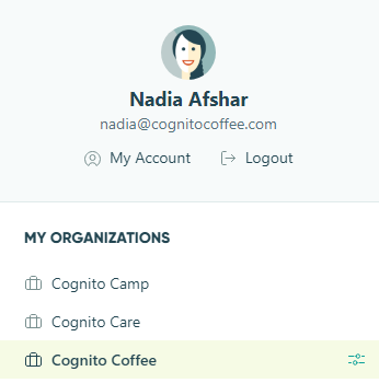 Organization and account menu.
