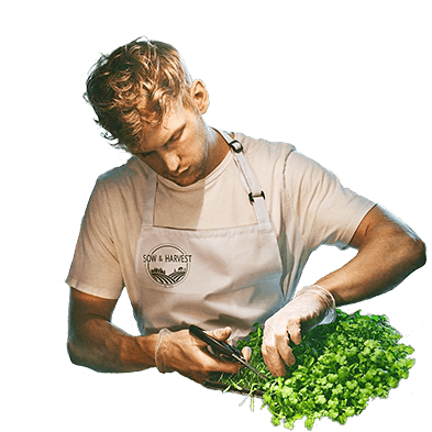 Sow & Harvest trimming microgreens