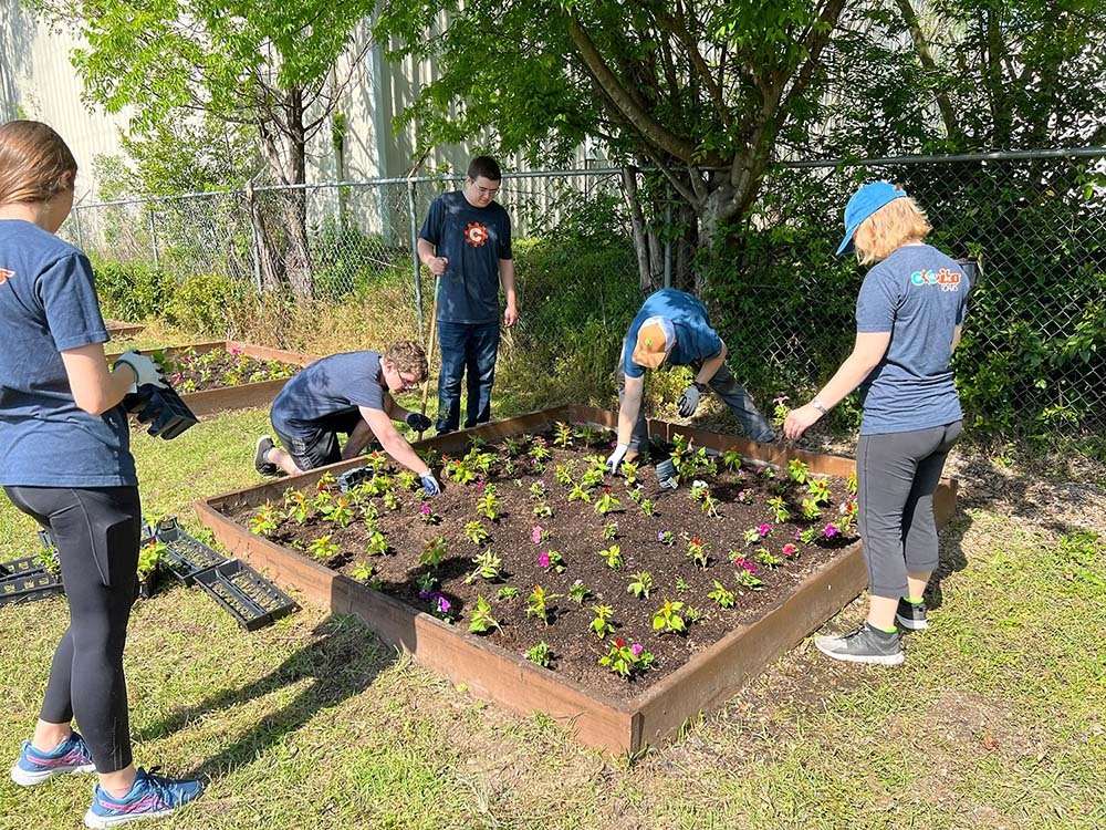 United Way volunteers gardening.