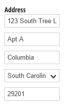 An Address field shrunk to its smallest possible width.