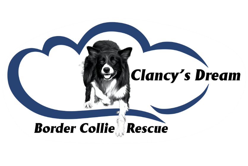 Clancy's Dream Border Collie Rescue logo.