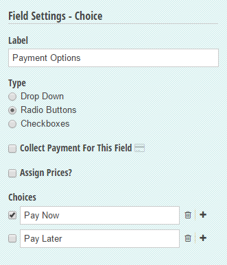 A choice field allowing customers to pay now or at a later time.