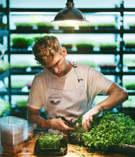 Matt Miller with microgreens.