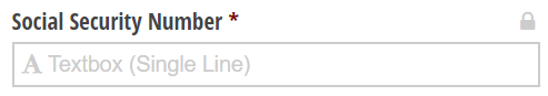 Social Security Number textbox that is encrypted.