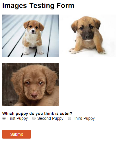 Images Testing Form asking which puppy you think is cuter out of three puppies.