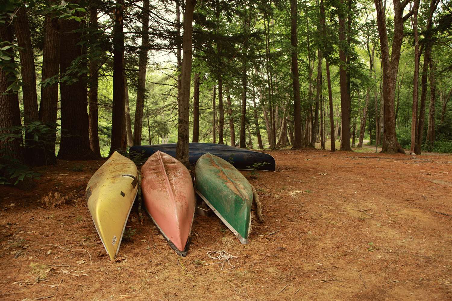 Summer camp canoes.