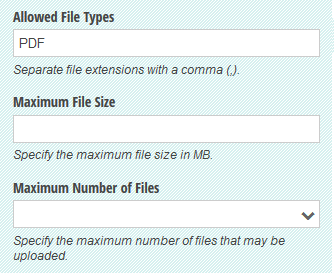 File upload field settings with allowed file types, maximum file size, and maximum number of files.