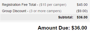 Discount applied in payment summary.