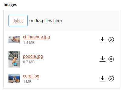 Example of multiple files uploaded with preview.