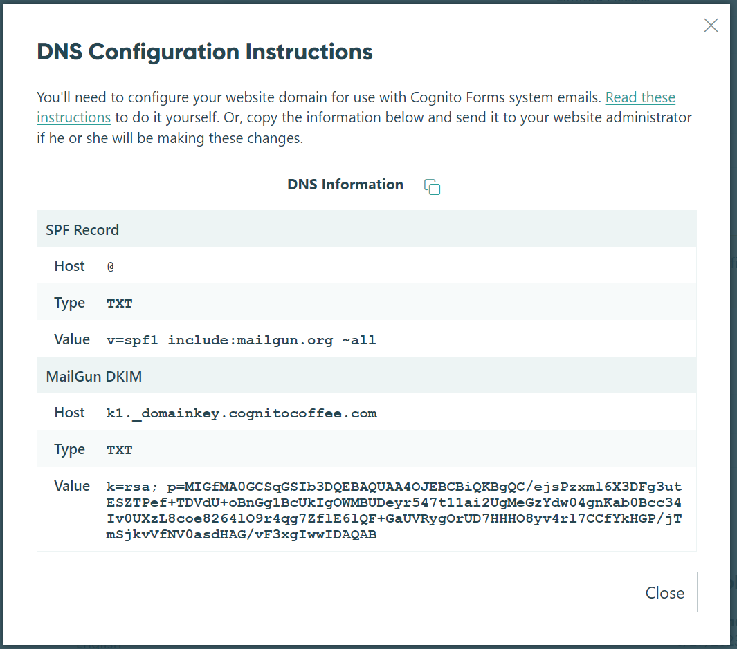 Copy the DNS information from Cognito Forms into your DNS records.