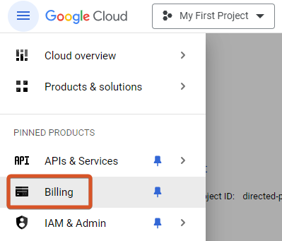 Open the Billing section from the menu.
