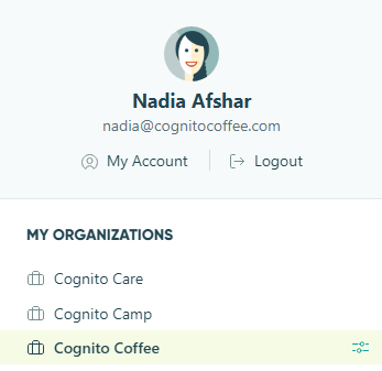 Creating an organization in Cognito Forms