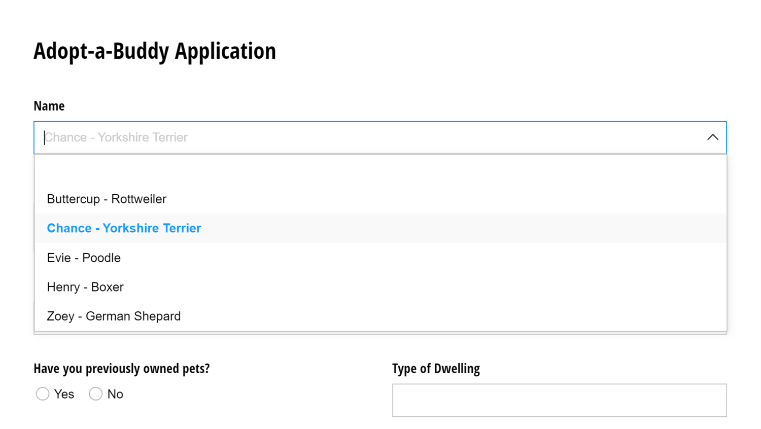 Adoption application form with a Lookup field.