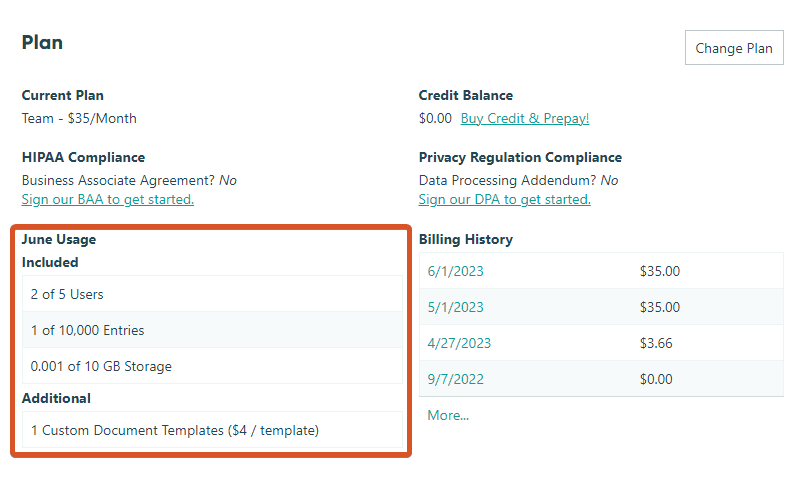 View your organization's monthly usage in the Plan section.