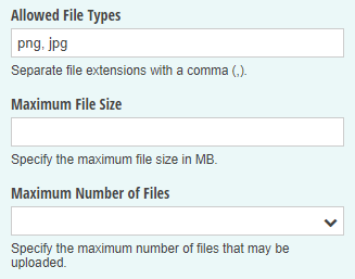 Restrict the allowed field types to just image files.
