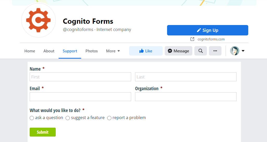 Embedded form in Facebook tab.